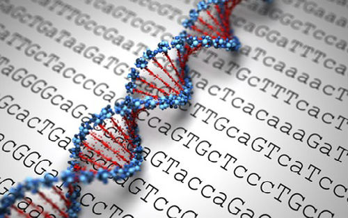 汤森路透：下一代测序市场潜力初露锋芒！！